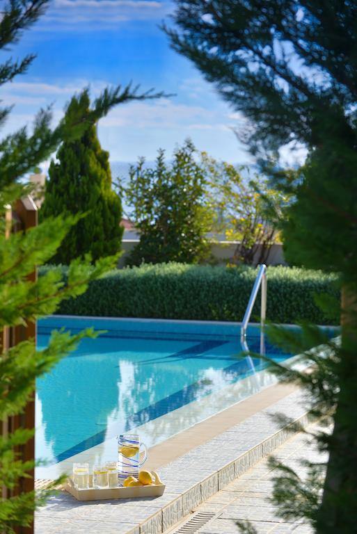 Danae Villas Hersonissos (Crete) Exterior foto